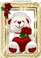 Cute Cuddly White Love Bear with Heart and Roses A4