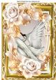 Beautiful Swan, with Cream and Gold Roses A4