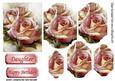 Pretty Pink Roses for You! Bracket Pyramids