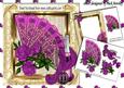 Pretty Pink Lace Fan with Roses and Champers 8x8 Mini Kit