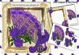 Pretty Purple Fan with Roses and Champers 8x8 Mini Kit