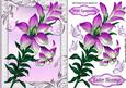 Pretty Pink Lillies and Butterflies