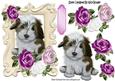 Cute Puppy in Ornate Frame with Pink Roses