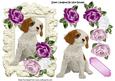 Cute Cavalier Puppy in Ornate Frame with Pink Roses