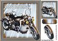Gold Motorbike in Gold Metallic Frame 8x8