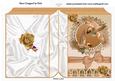 Pretty Brown Birds in Flight with Roses and Bow Folded Book