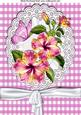 Pink Gingham and Lace with Flowers & Butterfly A4