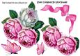 Pretty Pink/white Roses with Bow and Butterflies A4