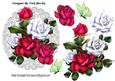 Pretty Red and White Roses on Lace Doilie with Butterflies