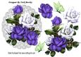 Pretty Purple/ White Roses on Lace Doilie with Butterflies