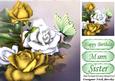 Pretty Gold and White Roses 8x8