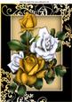 Pretty Gold and White Roses in Ornate Black/gold Frame A4
