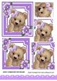 Cute Fuzzy Bear with Purple Flowers and Border Pyramids