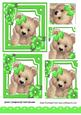 Cute Fuzzy Bear with Green Bow and Flowers Pyramids