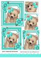 Cute Fuzzy Bear with Turq Bow and Flowers Pyramids