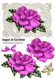 Pretty Pink Rose on Vintage Lace with Pearls & Bow