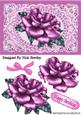 Pink Rose on Pink Vintage Lace with White Pearls