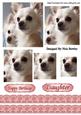 Cute Pair of Cream Chihuahuas with Pyramids
