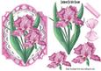 Pretty Pink Iris Flowers on Lace with Bow