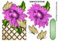 Pretty Pink Sunflower with Butterflies Over the Edge