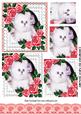 Cute White Kitten with Red Roses in Lace Frame Pyramids