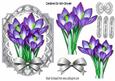 Pretty Purple Crocus Silver Lattice Frame