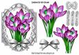 Pretty Pink Crocus and Butterflies on Silver Lattice Frame
