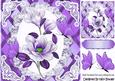 Pretty Purple Magnolia on Lace on Lattice Frame 8x8