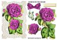 Beautiful Pink Roses on Vintage Lace with Bow