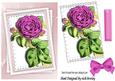 Pretty Pink Roses on Lace with Stacked Layers