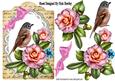 Pretty Wild Summer Roses on Lace with Bird and Script
