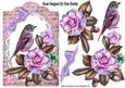 Pretty Wild Summer Roses on Lace with Pink Bird and Script