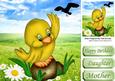 Hello Mr Seagull, Cute Yellow Bird with Daisies 8x8