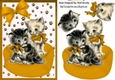Cute vintage kittens in orange basket with bow