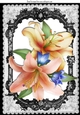 peach and pink lilies in a pretty black lace frame with butterflies A4