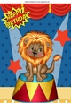 Lovely Lion sitting on a stand in a circus A4