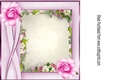 Pretty pink roses in floral frame 8x8 insert