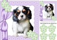 Cute little cavalier puppy with bow and buttons 8x8
