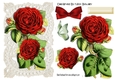 Pretty red roses on old ecru lace A5