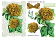 Pretty gold roses on old ecru lace A5