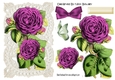 Pretty pink roses on old ecru lace A5