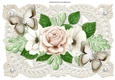 Painted roses and paper butterflies on vintage lace with pearls A4