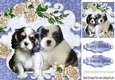 Cute little puppies with roses in  blue ornate frame 8x8