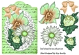 pretty painted green/peach flowers on lace on a script tag