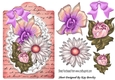 pretty painted rose flowers on lace on a script tag