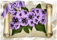Pretty purple flowers on a scroll with butterflies & bow, A4