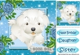 Cute little white puppy with blue roses 8x8