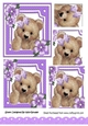 Cute fuzzy bear with purple bow and flowers with pyramids