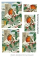 Robin with church in the snow pyramids