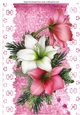 Pretty pink and white Amaryllis on lace with bow A4